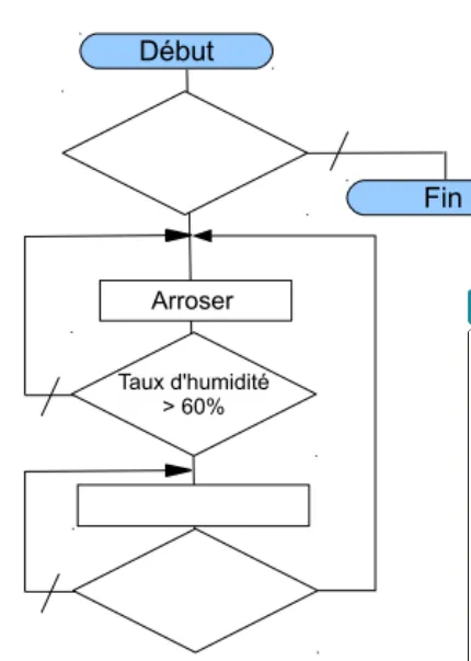 Organigramme du système d'arrosage